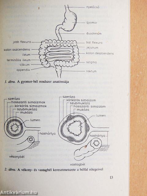 Amit a vastagbélgyulladásról tudni kell