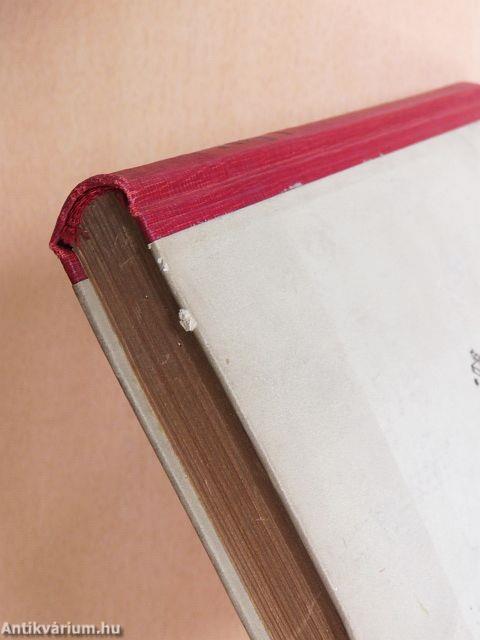 Eszméket nem lehet bebörtönözni