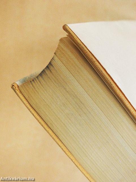 Ez mind én voltam egykor