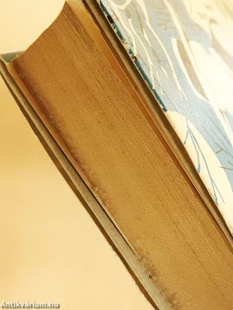 Tamás bátya kunyhója