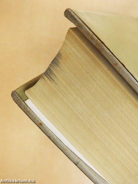 Környezet és tevékenység