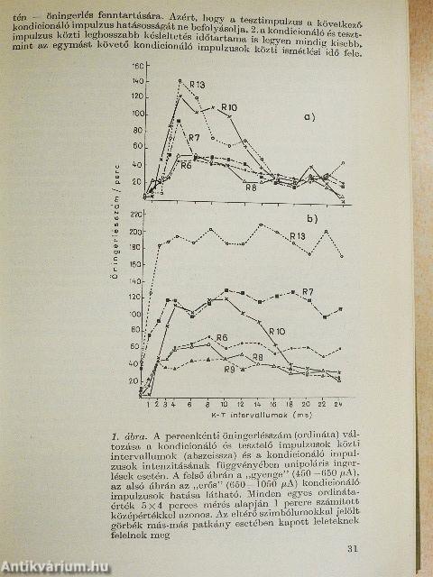 Környezet és tevékenység