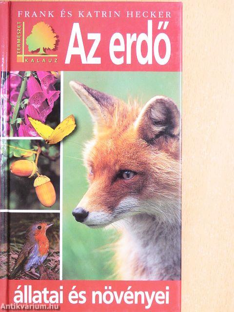 Az erdő állatai és növényei