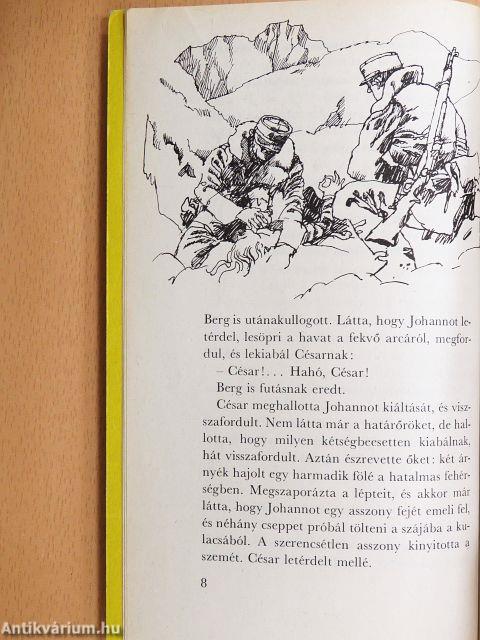 Belle és Sébastien