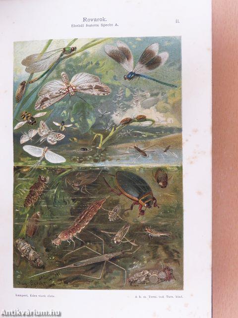 Az édesvizek élete