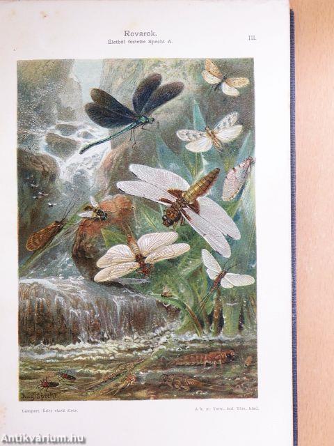 Az édesvizek élete