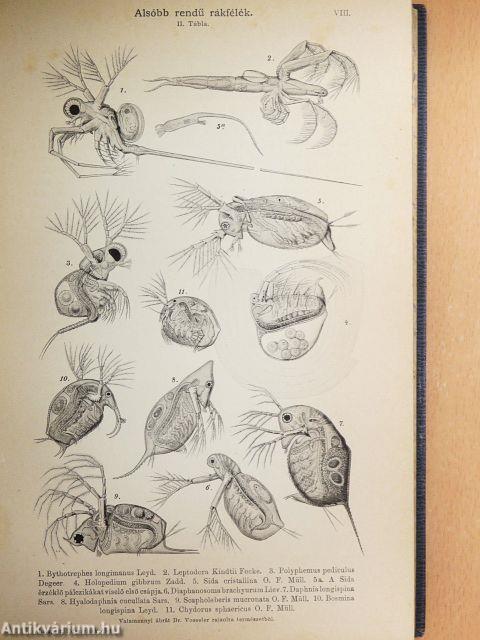 Az édesvizek élete