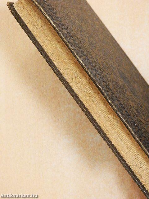 Egész az északi polusig!/A ki a szivét a homlokán hordja