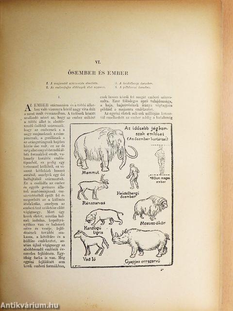 A világtörténet alapvonalai