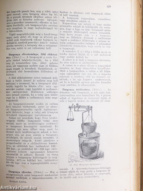Mezőgazdasági Lexikon I. (töredék)