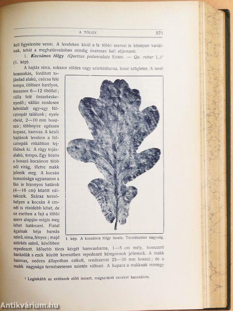 Természettudományi Közlöny 1914. január-december/Pótfüzetek a Természettudományi Közlönyhöz 1914. január-december