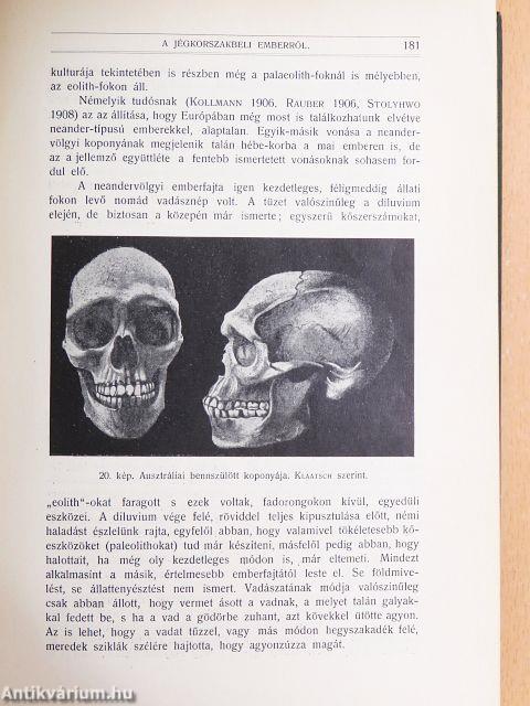Természettudományi Közlöny 1912. január-december/Pótfüzetek a Természettudományi Közlönyhöz 1912. január-december