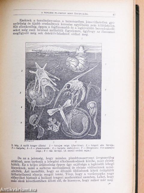 Természettudományi Közlöny 1929. január-december/Pótfüzetek a Természettudományi Közlönyhöz 1929. január-december