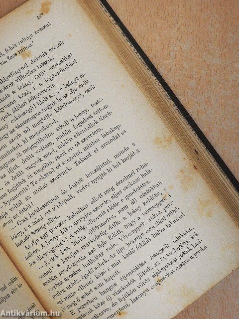 Csataképek a magyar szabadságharczból