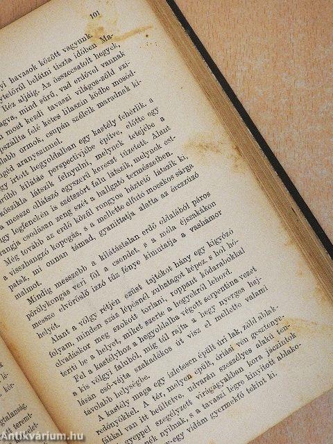 Csataképek a magyar szabadságharczból