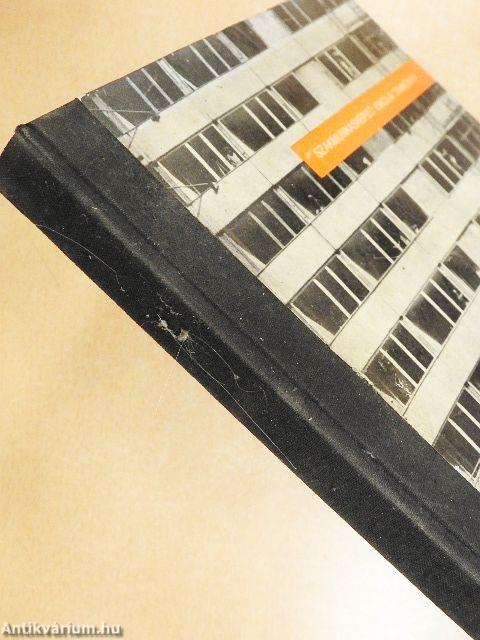 Szobafestő és mázoló (tapétázó) szakmai ismeret I. 