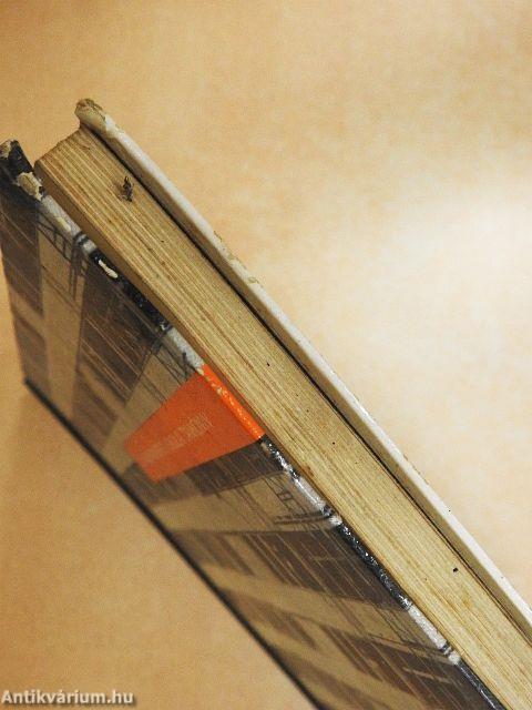 Szobafestő és mázoló (tapétázó) szakmai ismeret I. 