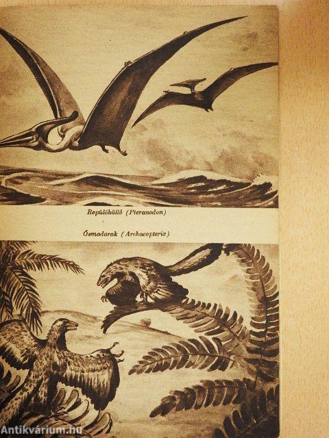 Séta az őslények világában