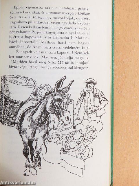 Belle és Sébastien