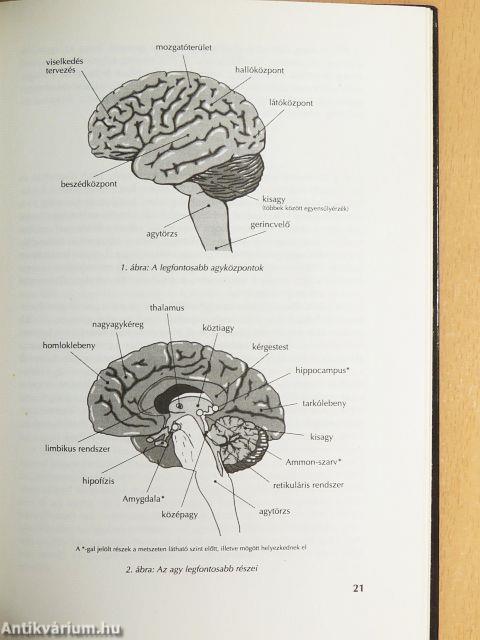 Csúcsformában mindig, mindenhol