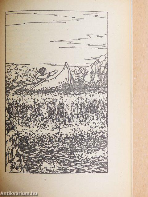 A sarkvidék Robinsonjai