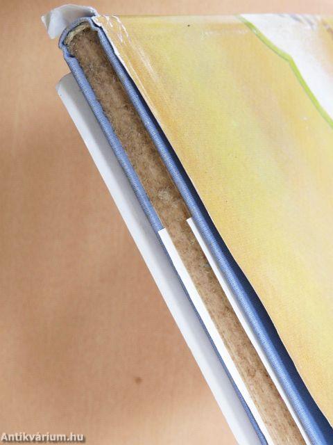 Isten küldött egy embert