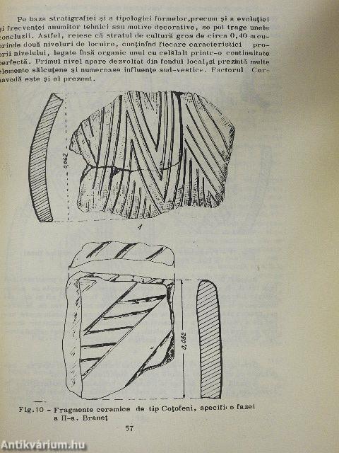 Cercetari Archeologice 1