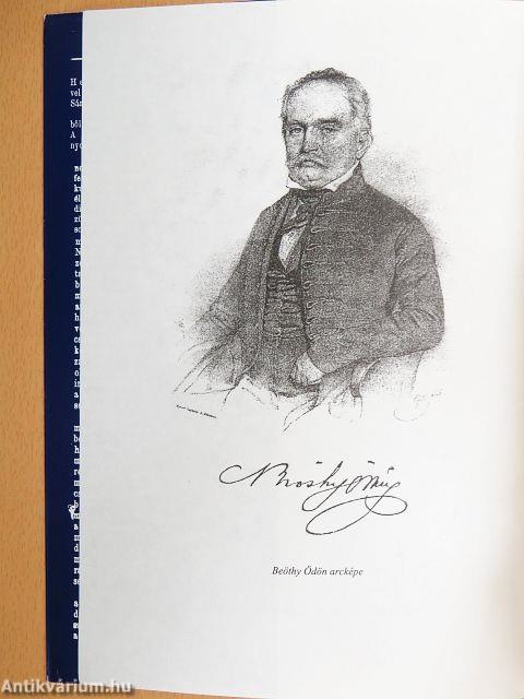 Bihar vármegye 1848-49-ben