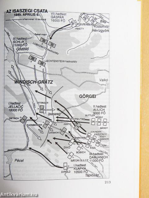 A szabadságharc katonai története