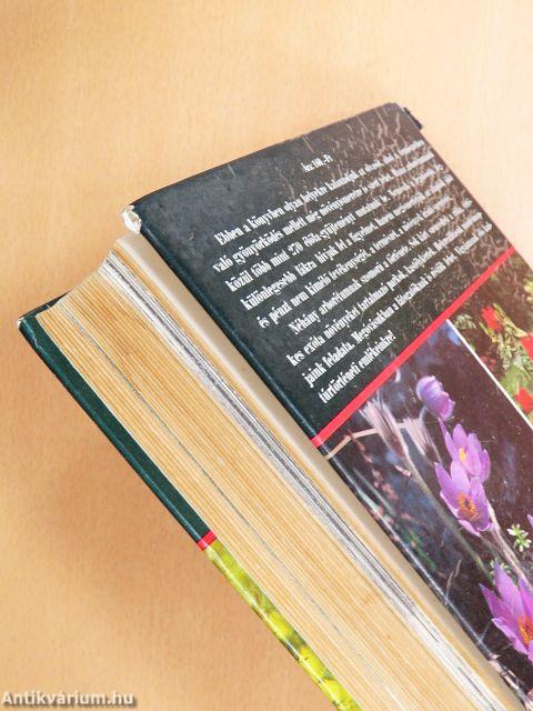 Arborétumok országszerte