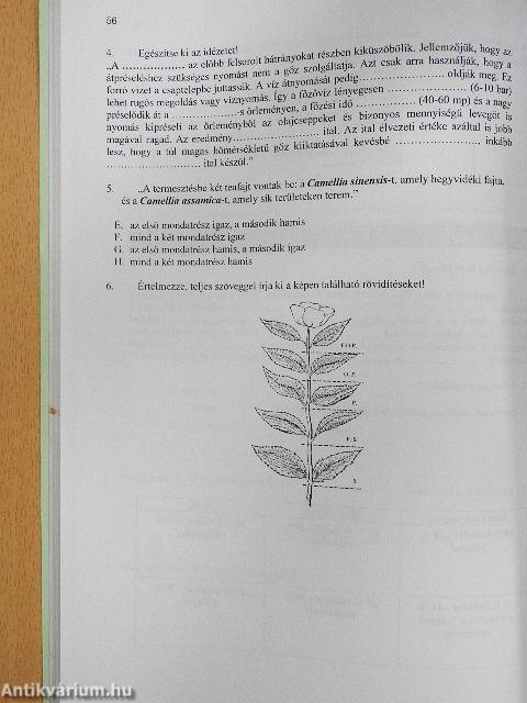Italismeret és élvezeti szerek - Munkafüzet