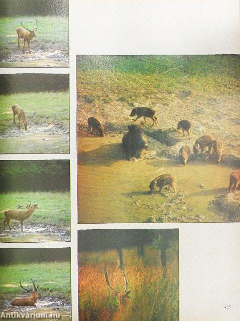 Nimród 1980. július-december, 1981. január-december