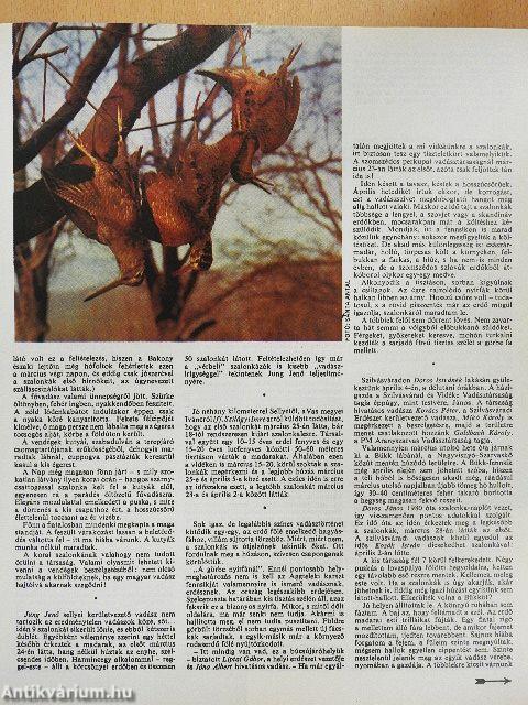 Nimród 1987. (nem teljes évfolyam)/Nimród Fórum 1987. július, október, november/1987. Karácsonyi melléklet/1988. január-december/Nimród Fórum 1988. október/1988. Karácsonyi melléklet