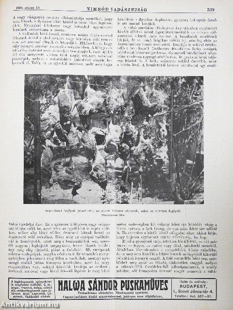 Nimród Vadászujság 1930. (nem teljes évfolyam)