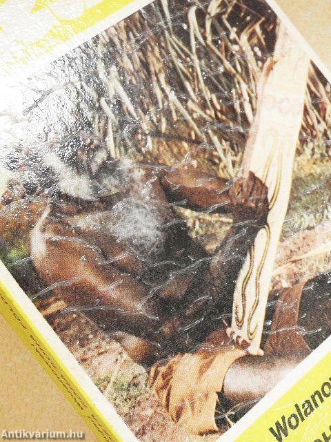 Posta Soha-soha földre