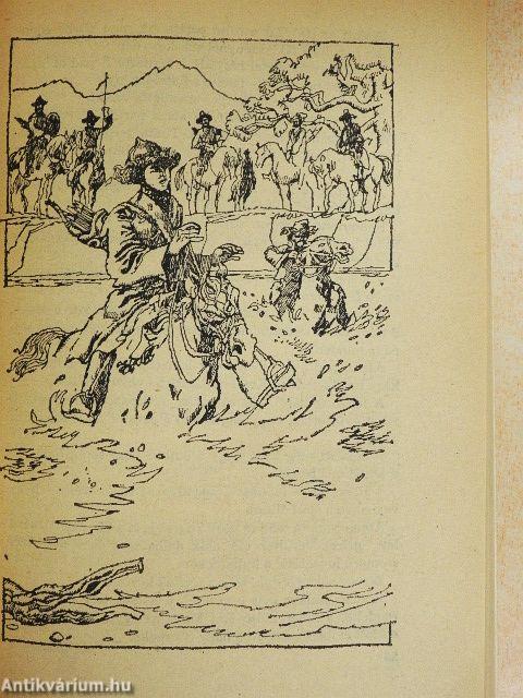 Szépen szálló sólyommadár