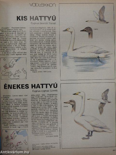 Nimród 1980. július-december, 1981. január-december