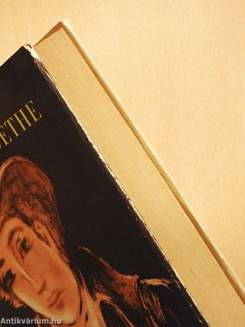 Wilhelm Meisters theatralische Sendung