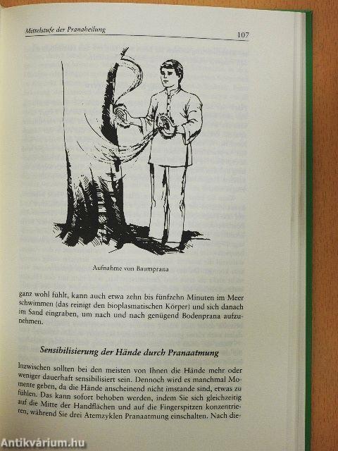 Grundlagen des Pranaheilens