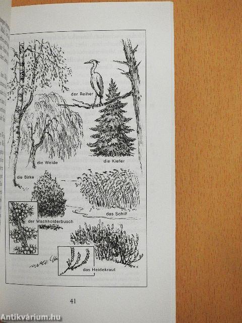 Die lange grosse wut