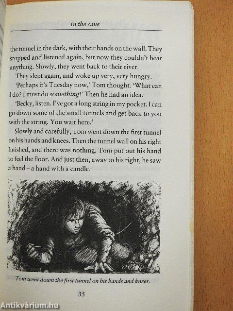 The adventures of Tom Sawyer