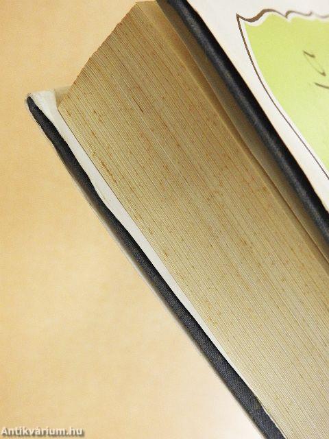 Váci utcai hölgytisztelet