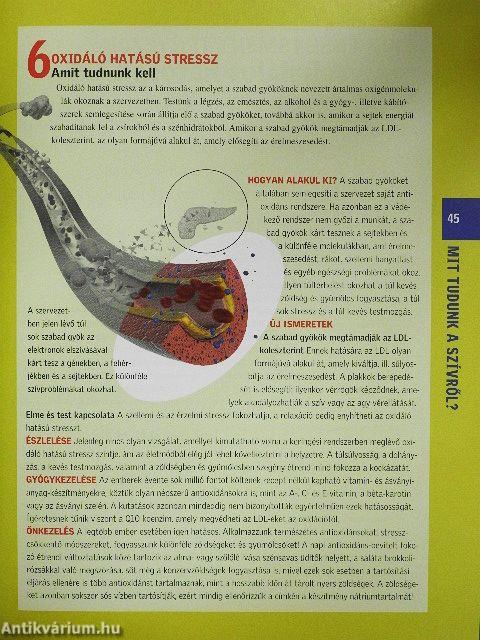 Napi 30 perc az egészséges szívért