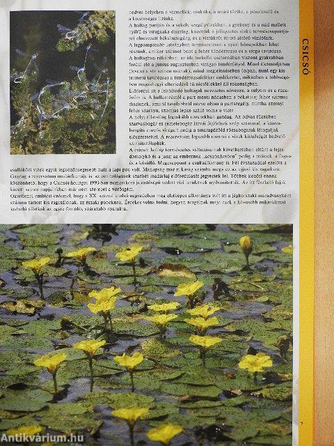 Felvidék száz csodája