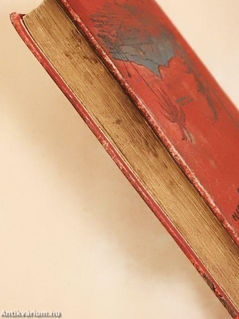 Stanley és a hősiesen megszabaditott Emin pasa