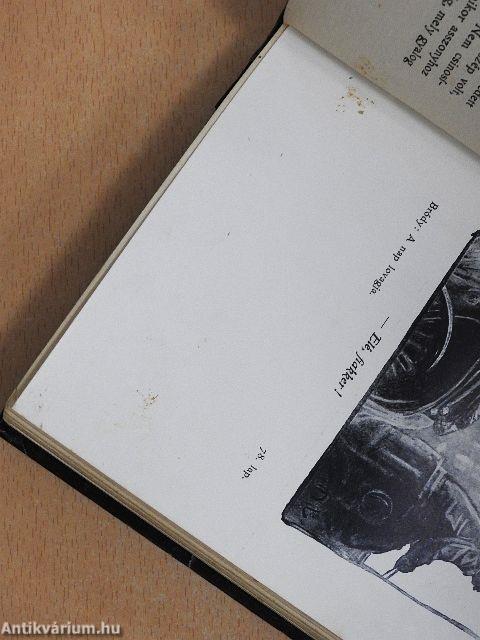 A nap lovagja/Elbeszélések