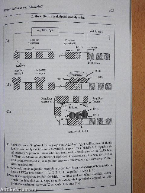 Psychiatria Hungarica 1999/2.