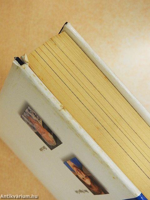 Milliomosok/Bukott angyal/Apa szeme fénye/Walhalla visszatér