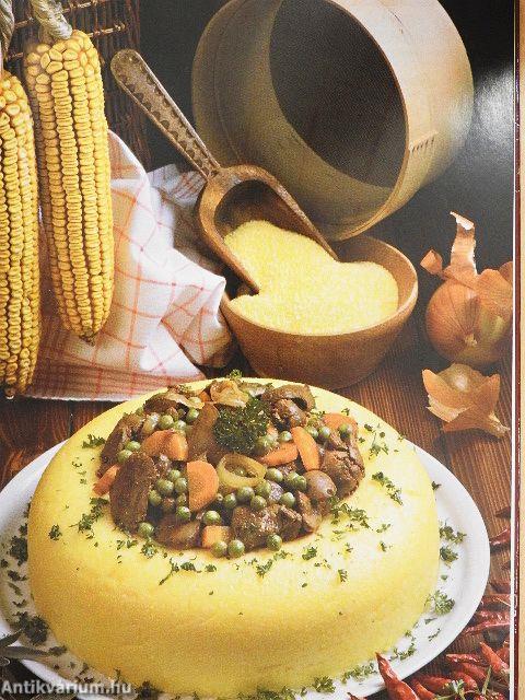 99 könnyű húsétel 33 színes ételfotóval