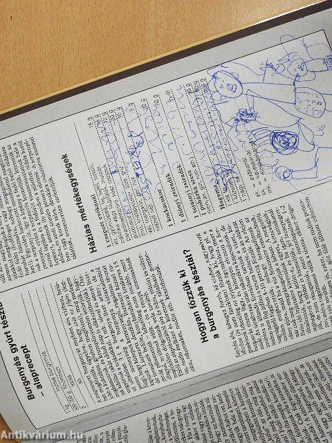 99 krumplis étel 33 színes ételfotóval